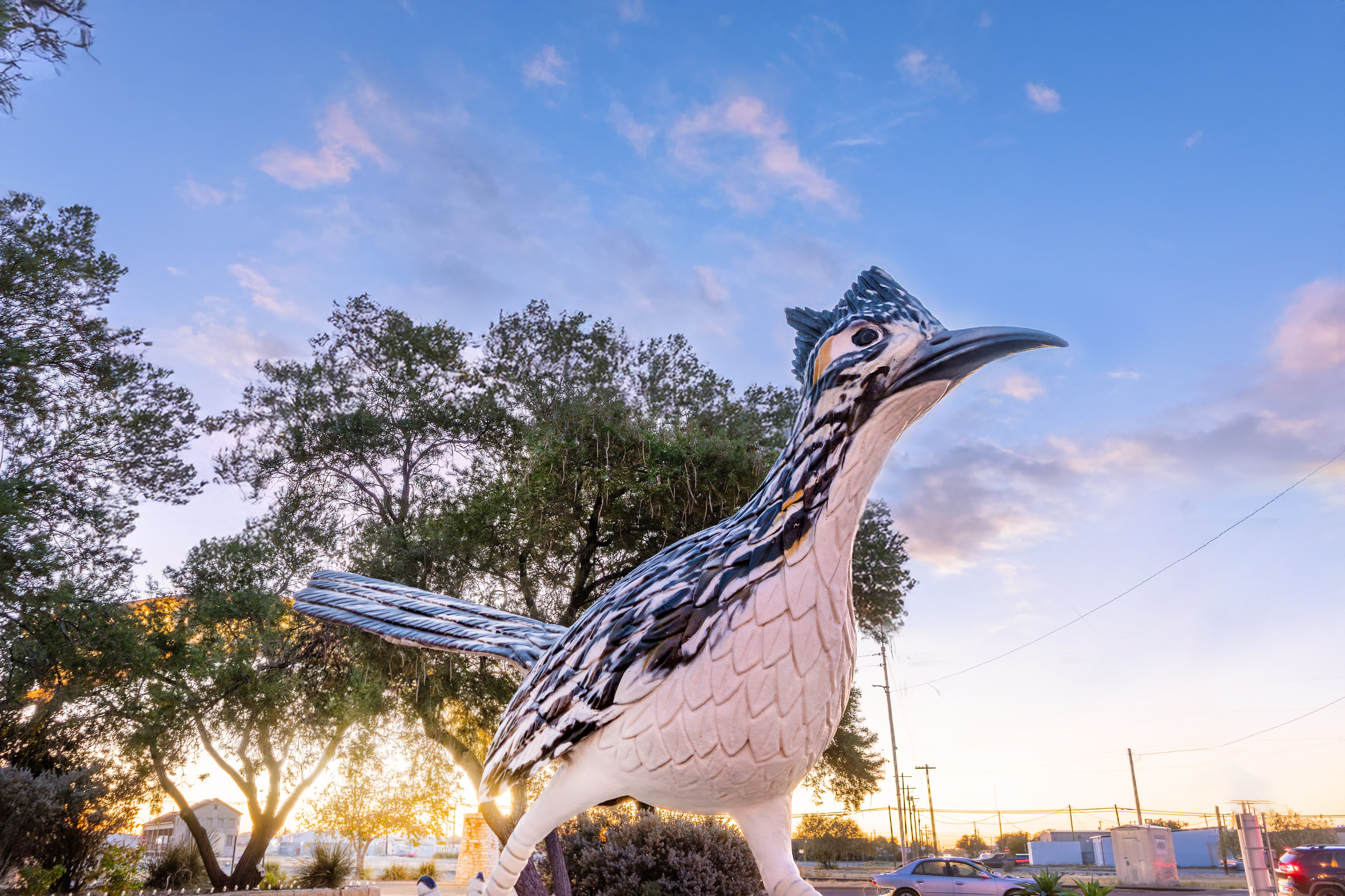 Paisano Pete in Fort Stockton